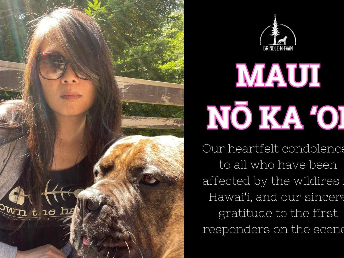 Maui Wildfires: Support Maui Humane Society