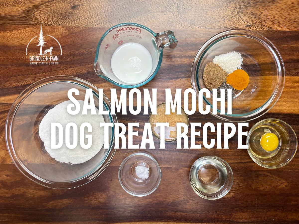 Salmon Mochi Dog Treat Recipe