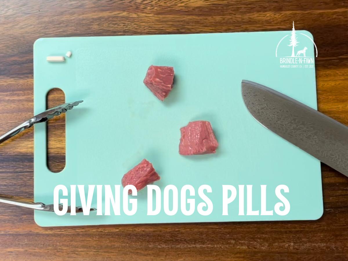 Easy Trick for Giving Your Dog Medication