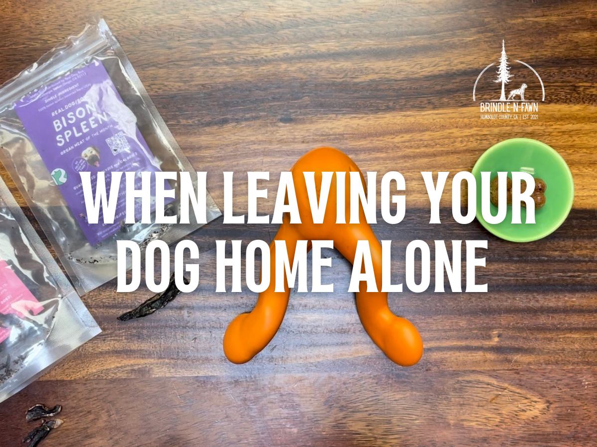 Keeping Your Dog Happy When Leaving Your Dog Home Alone