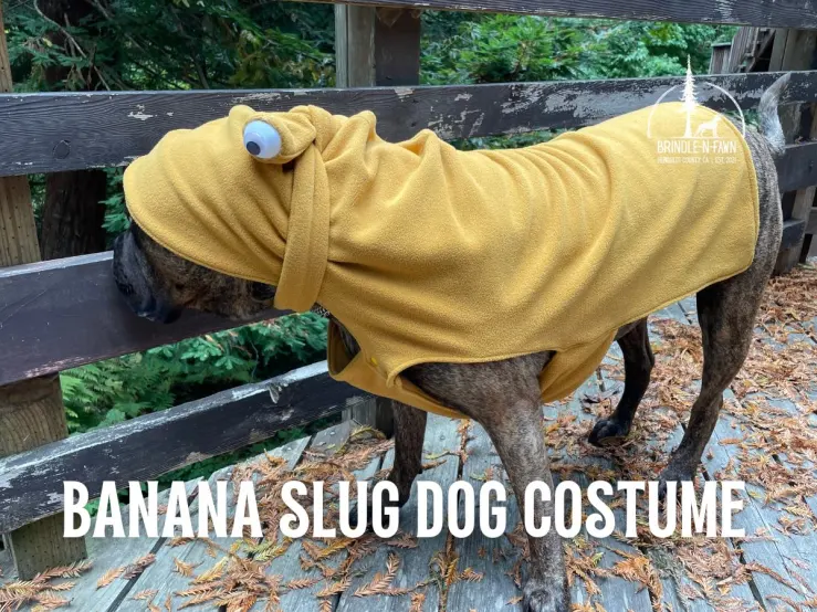 Banana Slug Dog Costume