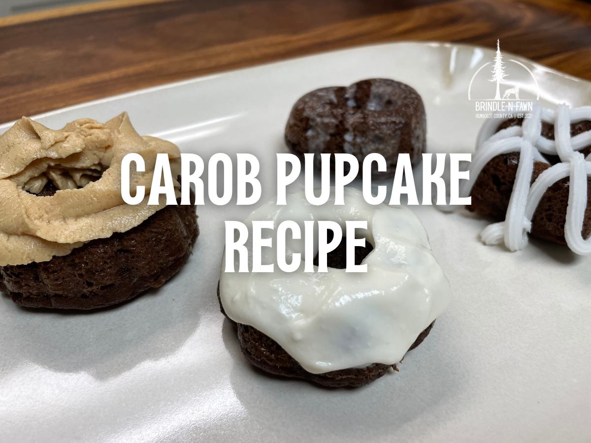 The Magic of Carob Pupcakes