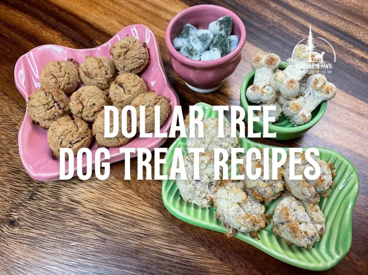 Dog Treat Recipes Made with Dollar Tree Finds